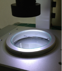 高精密光學(xué)檢測儀在線纜行業(yè)的應(yīng)用案例 高精密光學(xué)檢測儀在線纜行業(yè)的應(yīng)用案例